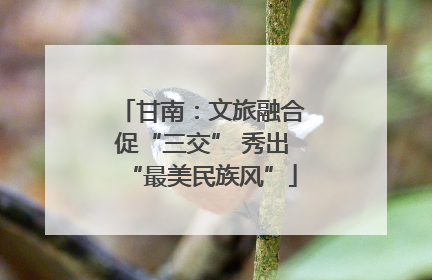 甘南：文旅融合促“三交” 秀出“最美民族风”