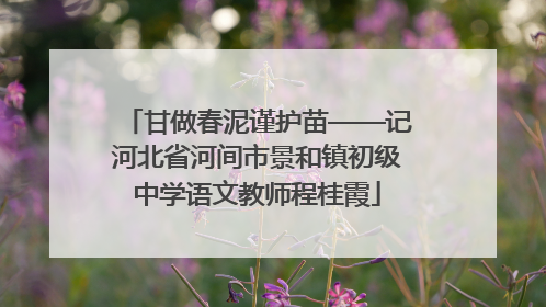 甘做春泥谨护苗——记河北省河间市景和镇初级中学语文教师程桂霞