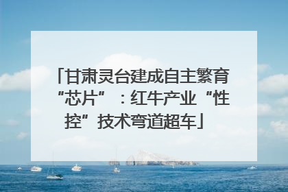 甘肃灵台建成自主繁育“芯片”：红牛产业“性控”技术弯道超车