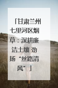 甘肃兰州七里河区烟草：深耕廉洁土壤 劲扬“丝路清风”