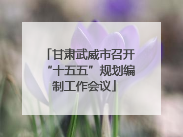 甘肃武威市召开“十五五”规划编制工作会议