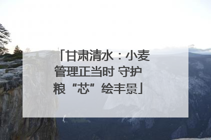 甘肃清水：小麦管理正当时 守护粮“芯”绘丰景