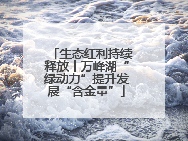 生态红利持续释放丨万峰湖“绿动力”提升发展“含金量”