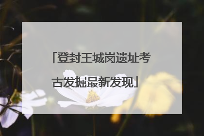 登封王城岗遗址考古发掘最新发现
