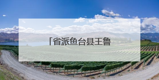 省派鱼台县王鲁镇第一书记护航“三夏”生产