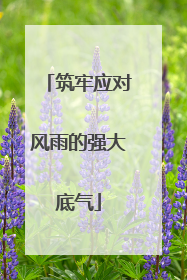 筑牢应对风雨的强大底气