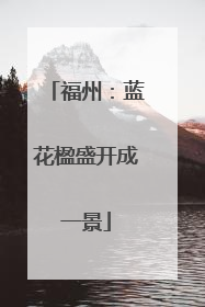 福州：蓝花楹盛开成一景
