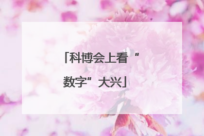 科博会上看“数字”大兴