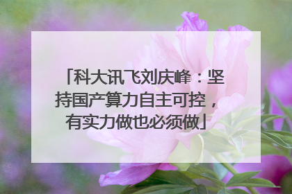 科大讯飞刘庆峰：坚持国产算力自主可控，有实力做也必须做