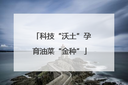 科技“沃土”孕育油菜“金种”