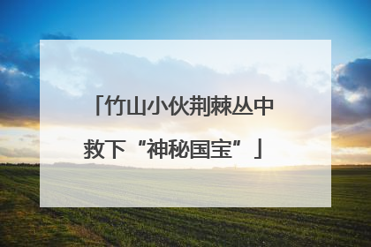 竹山小伙荆棘丛中救下“神秘国宝”