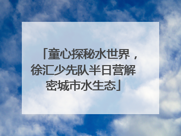 童心探秘水世界，徐汇少先队半日营解密城市水生态