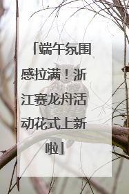 端午氛围感拉满！浙江赛龙舟活动花式上新啦
