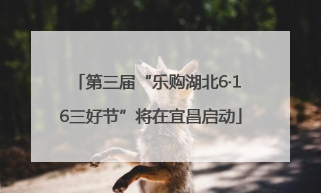 第三届“乐购湖北6·16三好节”将在宜昌启动