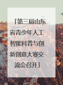 第三届山东省青少年人工智能科普与创新创意大赛交流会召开