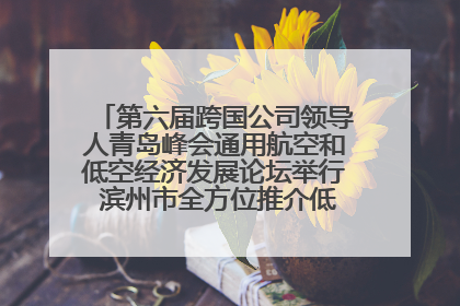 第六届跨国公司领导人青岛峰会通用航空和低空经济发展论坛举行 滨州市全方位推介低空经济发展优势