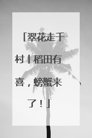 翠花走千村丨稻田有喜，螃蟹来了！