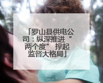 罗山县供电公司：纵深推进“两个度” 撑起监督大格局