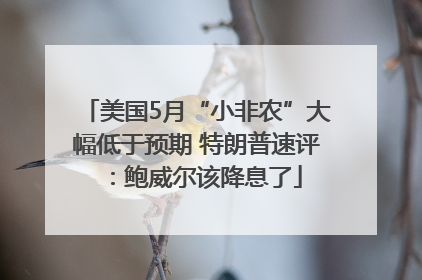 美国5月“小非农”大幅低于预期 特朗普速评：鲍威尔该降息了