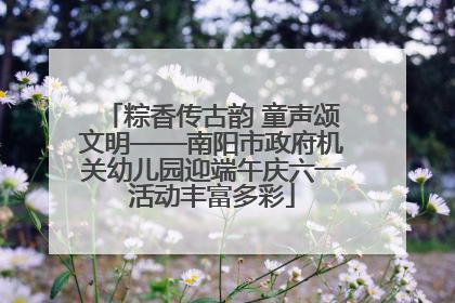 粽香传古韵 童声颂文明——南阳市政府机关幼儿园迎端午庆六一活动丰富多彩