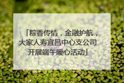 粽香传情，金融护航，大家人寿宜昌中心支公司开展端午暖心活动