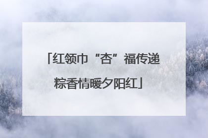 红领巾“杏”福传递 粽香情暖夕阳红