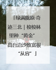绿满陇原·奇迹三北｜梭梭林里种“黄金” 高台治沙致富很“从容”