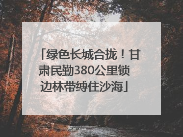 绿色长城合拢！甘肃民勤380公里锁边林带缚住沙海