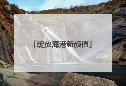 绽放海港新颜值