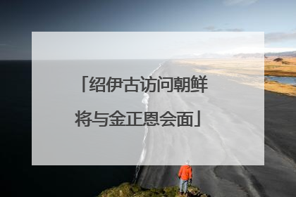 绍伊古访问朝鲜 将与金正恩会面