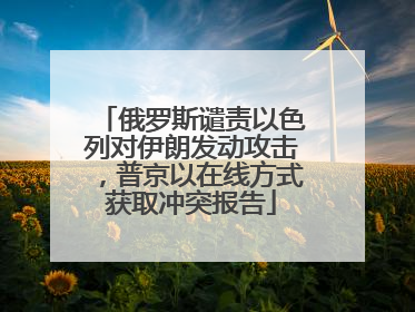 俄罗斯谴责以色列对伊朗发动攻击，普京以在线方式获取冲突报告