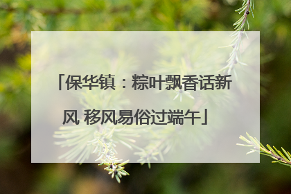 保华镇：粽叶飘香话新风 移风易俗过端午