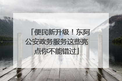 便民新升级！东阿公安政务服务这些亮点你不能错过