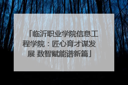临沂职业学院信息工程学院：匠心育才谋发展 数智赋能谱新篇