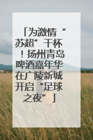 为激情“苏超”干杯！扬州青岛啤酒嘉年华在广陵新城开启“足球之夜”