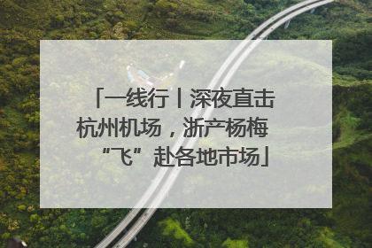 一线行丨深夜直击杭州机场，浙产杨梅“飞”赴各地市场