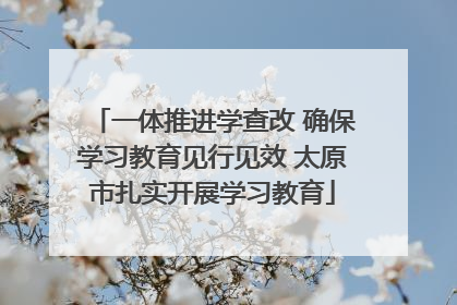 一体推进学查改 确保学习教育见行见效 太原市扎实开展学习教育