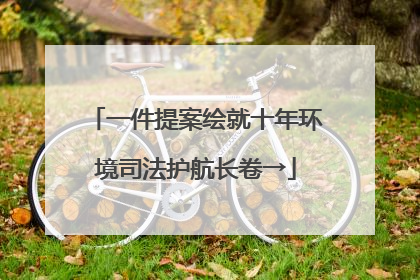 一件提案绘就十年环境司法护航长卷→