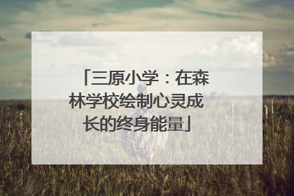 三原小学：在森林学校绘制心灵成长的终身能量