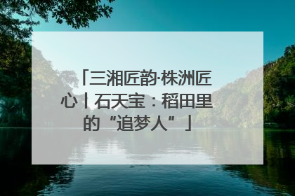 三湘匠韵·株洲匠心丨石天宝：稻田里的“追梦人”