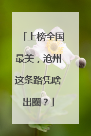 上榜全国最美，沧州这条路凭啥出圈？