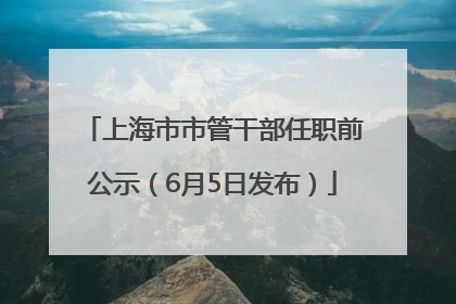 上海市市管干部任职前公示（6月5日发布）