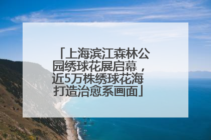 上海滨江森林公园绣球花展启幕，近5万株绣球花海打造治愈系画面