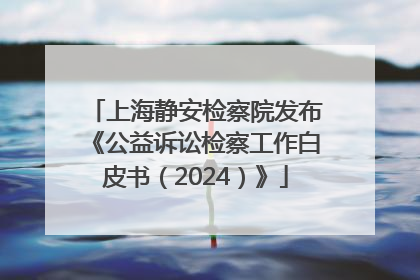 上海静安检察院发布《公益诉讼检察工作白皮书（2024）》