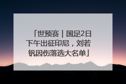 世预赛｜国足2日下午出征印尼，刘若钒因伤落选大名单