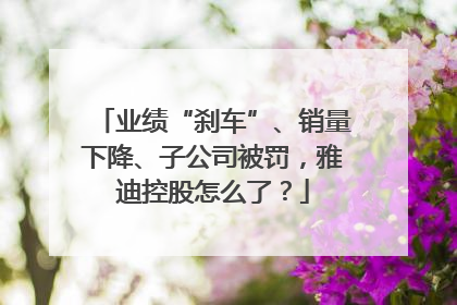 业绩“刹车”、销量下降、子公司被罚，雅迪控股怎么了？