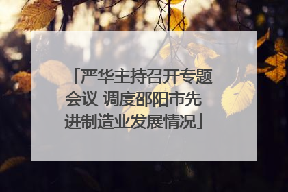 严华主持召开专题会议 调度邵阳市先进制造业发展情况