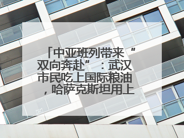 中亚班列带来“双向奔赴”：武汉市民吃上国际粮油，哈萨克斯坦用上鄂产光电屏