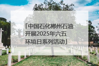 中国石化郴州石油开展2025年六五环境日系列活动