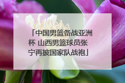 中国男篮备战亚洲杯 山西男篮球员张宁再披国家队战袍